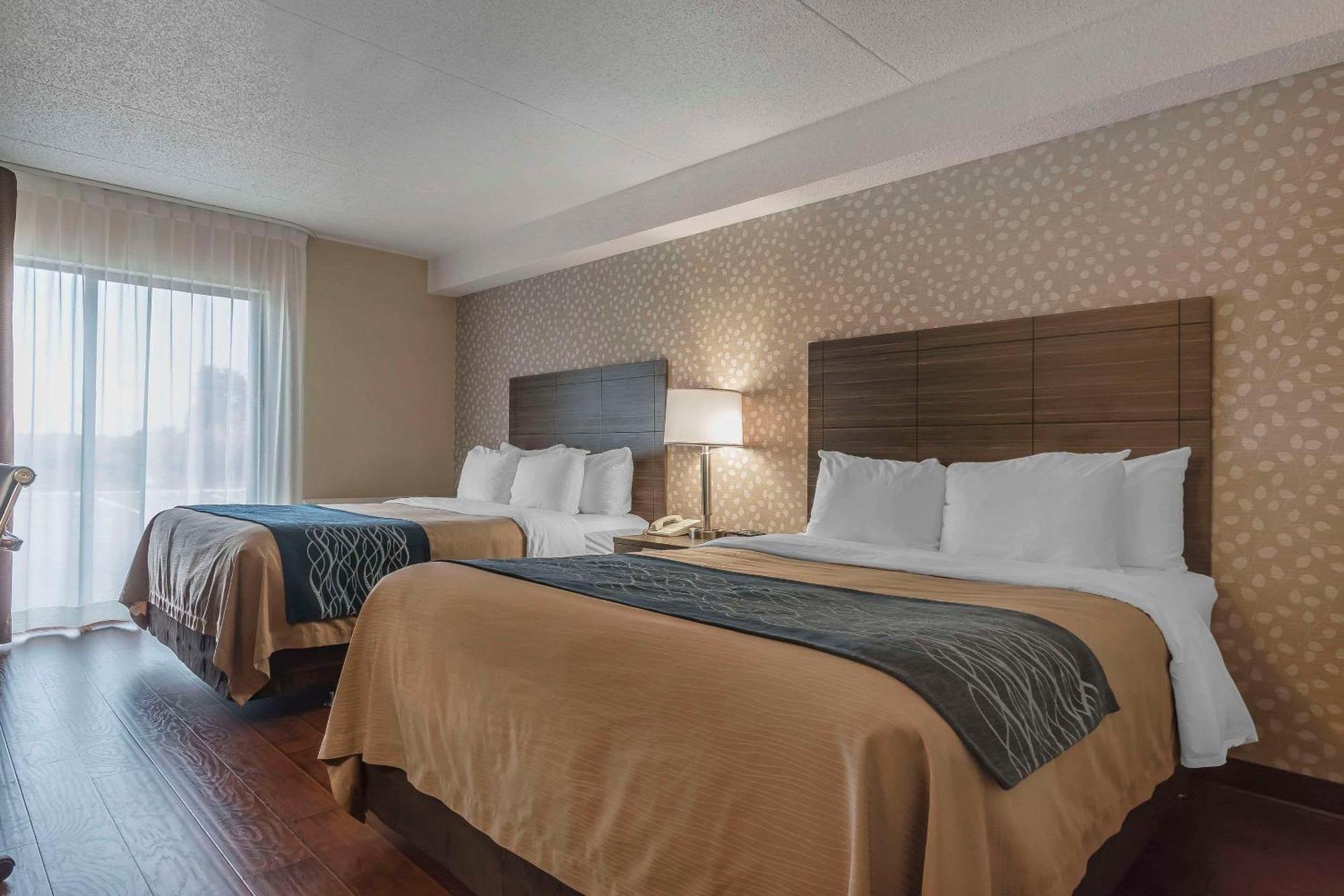 Comfort Inn Lévis Exterior foto