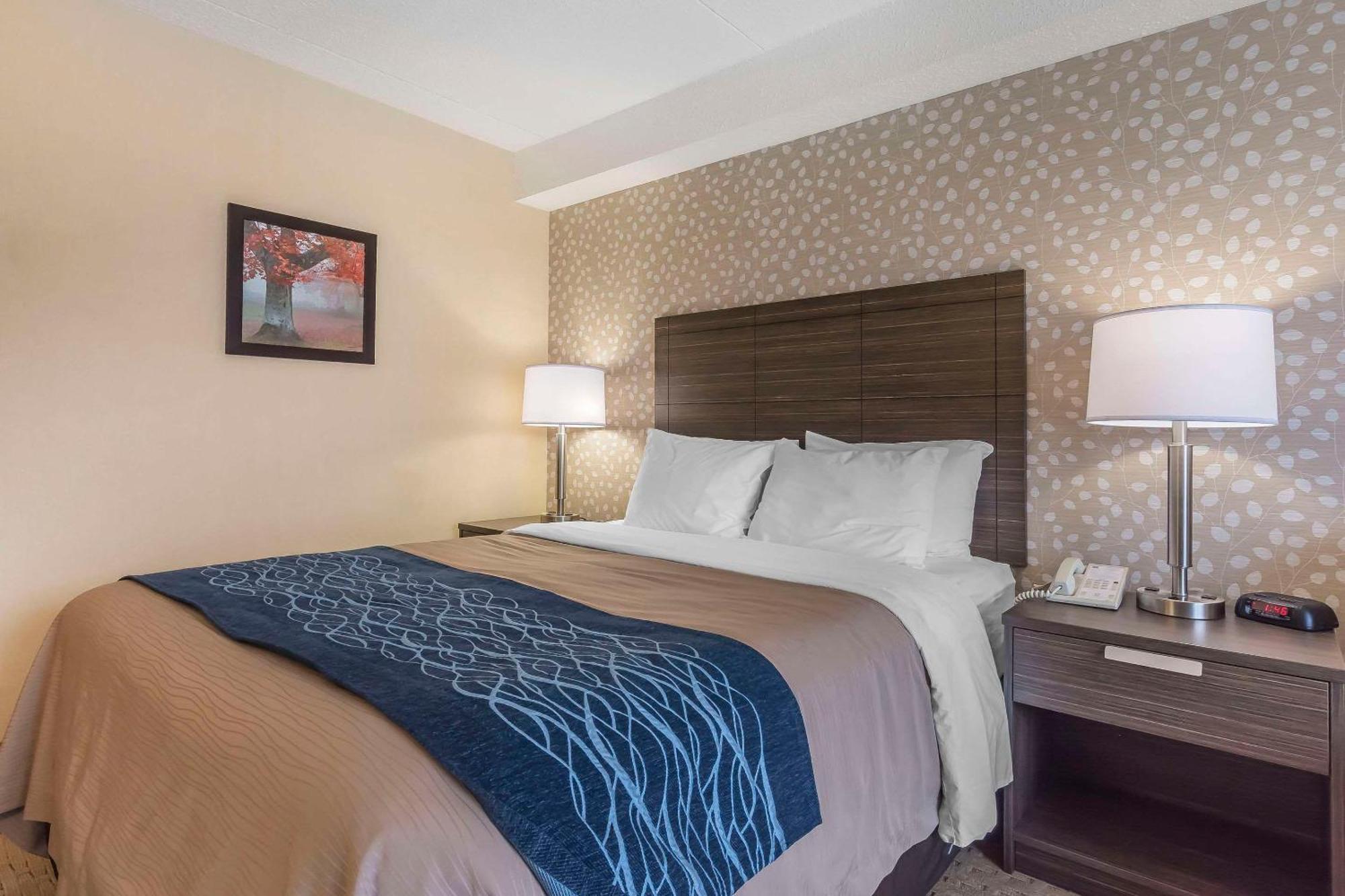 Comfort Inn Lévis Exterior foto