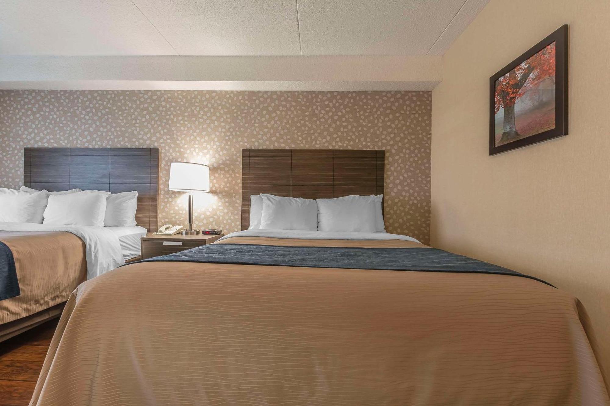 Comfort Inn Lévis Exterior foto