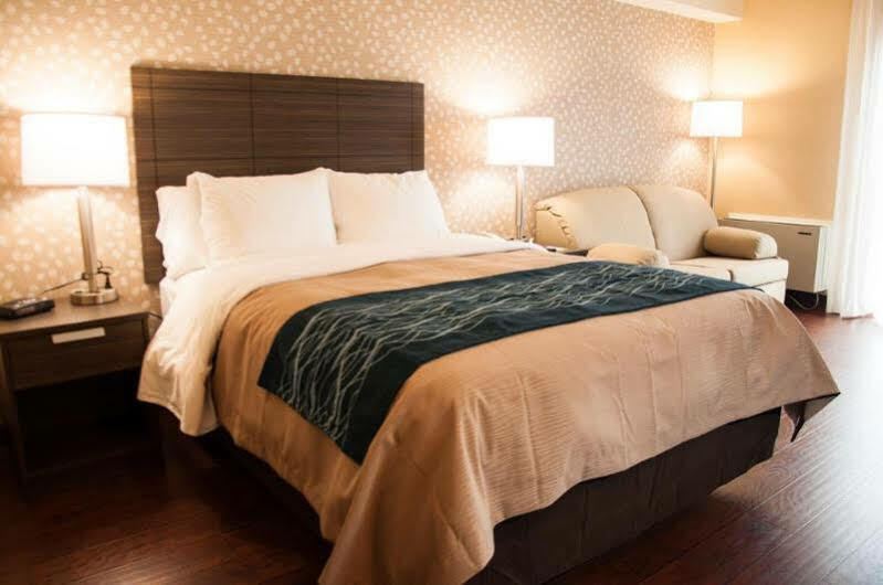 Comfort Inn Lévis Exterior foto