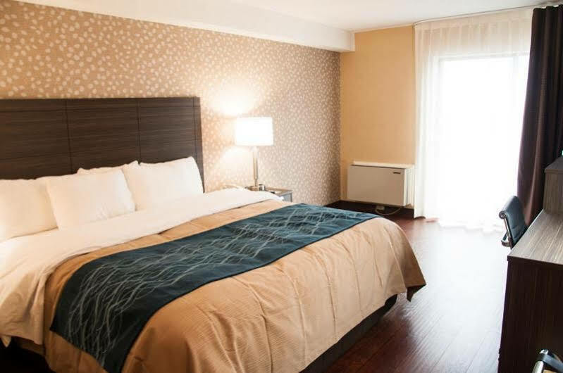 Comfort Inn Lévis Exterior foto