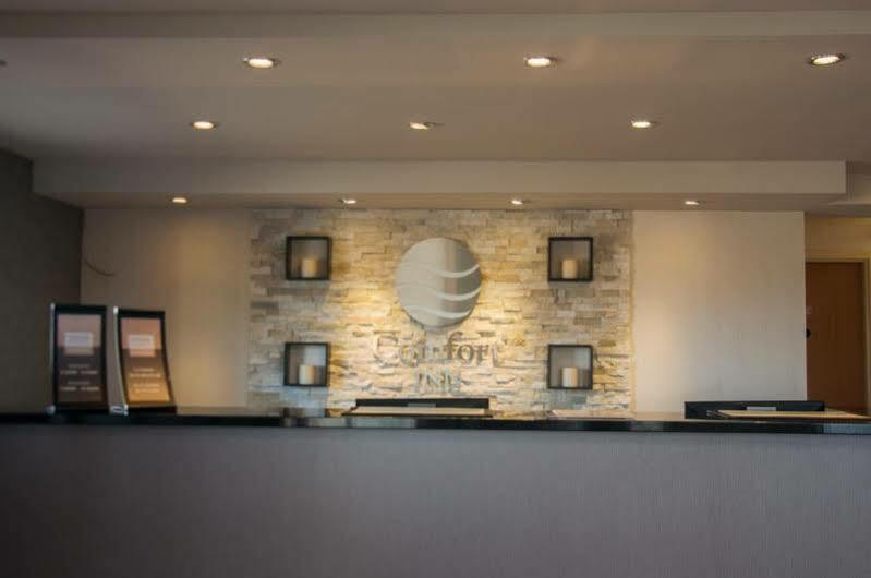 Comfort Inn Lévis Exterior foto